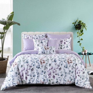 AKEMI Cotton Select Affluence Bentlea Bed sheet Set